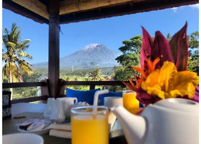 Di Bias *